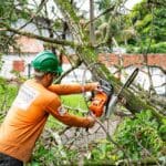 Tree service marketing consultant reviewing local SEO and lead generation growth plans for a tree care business.